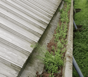 Happy customers in Sunningdale who trust The Roof Moss Cleaners for gutter cleaning services