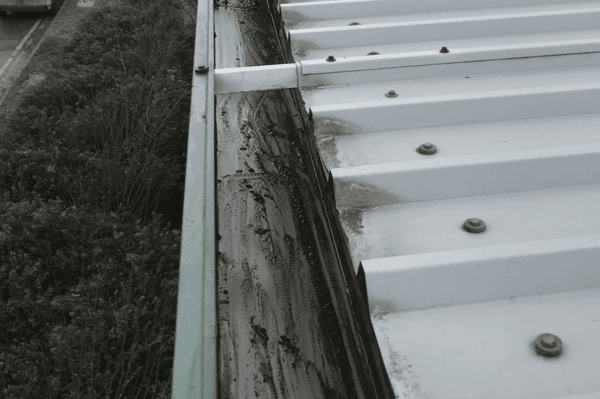 Commercial gutter cleaning specialists in Sunningdale